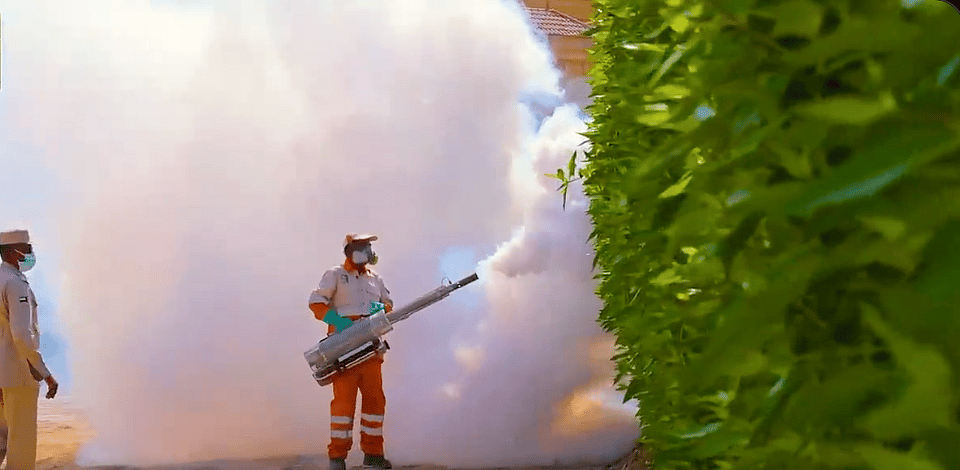 请查看：沙迦当局在斋月祈祷前打击有害植物和害虫