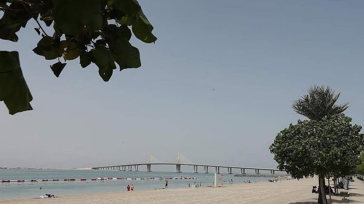 阿联酋当局确认，在阿尔巴亭海滩发现的海洋环节动物无害